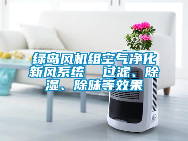 綠島風(fēng)機(jī)組空氣凈化新風(fēng)系統(tǒng)  過濾、除濕、除味等效果