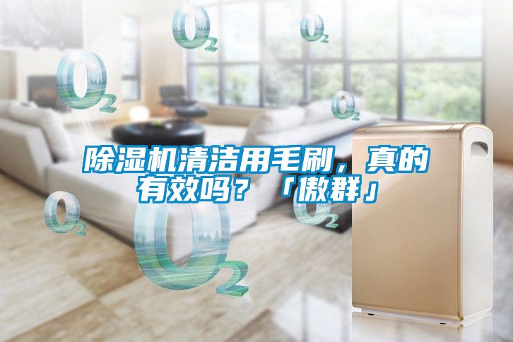 除濕機(jī)清潔用毛刷，真的有效嗎？「傲群」