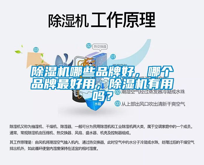 除濕機(jī)哪些品牌好，哪個(gè)品牌最好用，除濕機(jī)有用嗎？