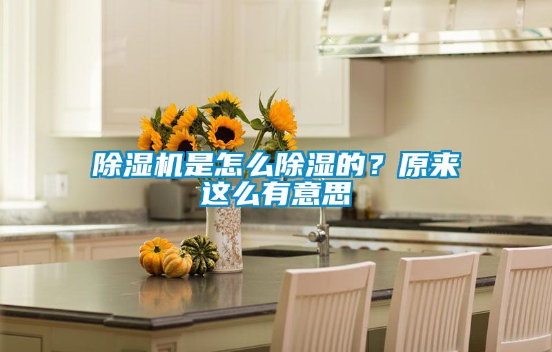 除濕機是怎么除濕的？原來這么有意思
