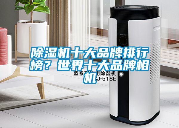 除濕機(jī)十大品牌排行榜？世界十大品牌相機(jī)