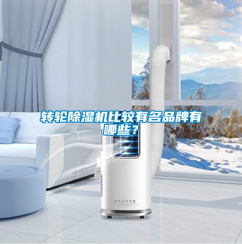 轉輪除濕機比較有名品牌有哪些？