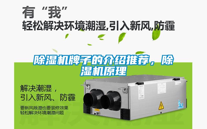除濕機(jī)牌子的介紹推薦，除濕機(jī)原理
