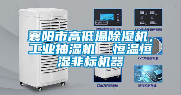 襄陽市高低溫除濕機，工業(yè)抽濕機  恒溫恒濕非標(biāo)機器
