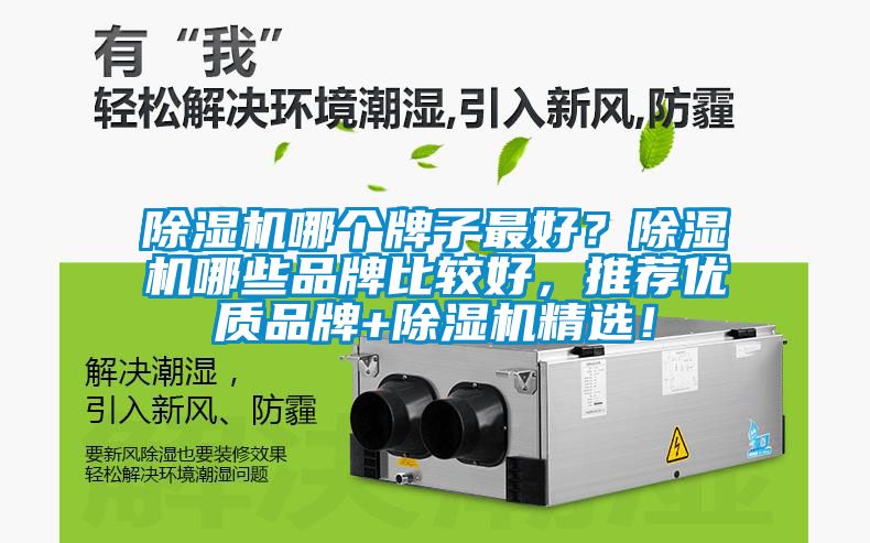除濕機(jī)哪個牌子最好？除濕機(jī)哪些品牌比較好，推薦優(yōu)質(zhì)品牌+除濕機(jī)精選！