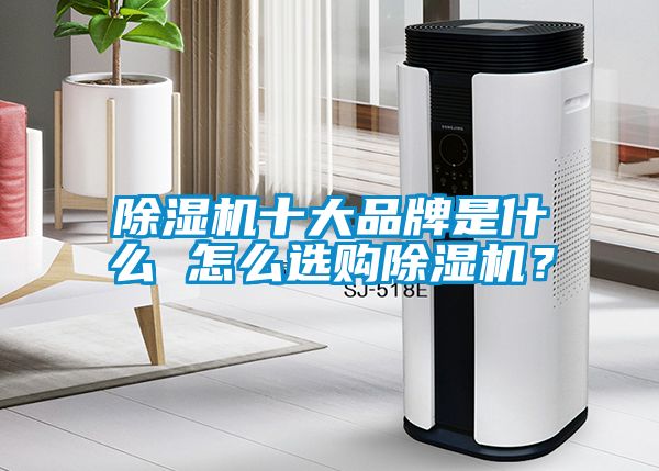 除濕機十大品牌是什么 怎么選購除濕機？