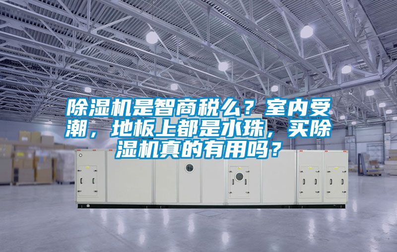 除濕機是智商稅么？室內受潮，地板上都是水珠，買除濕機真的有用嗎？