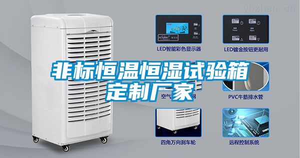 非標(biāo)恒溫恒濕試驗箱定制廠家