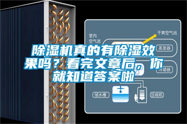 除濕機(jī)真的有除濕效果嗎？看完文章后，你就知道答案啦