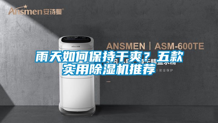 雨天如何保持干爽？五款實(shí)用除濕機(jī)推薦