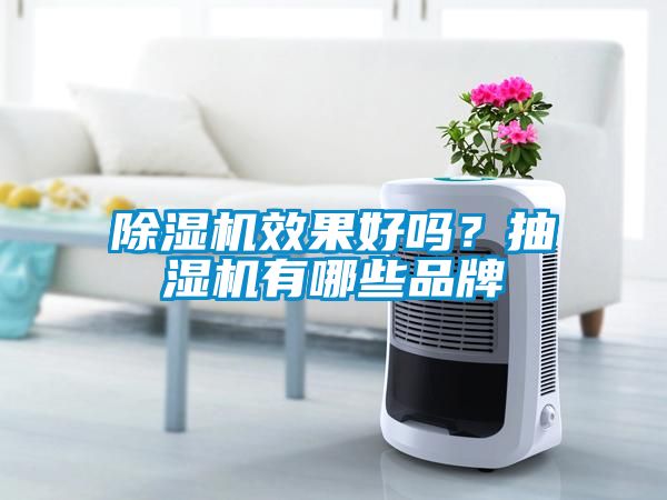 除濕機(jī)效果好嗎？抽濕機(jī)有哪些品牌