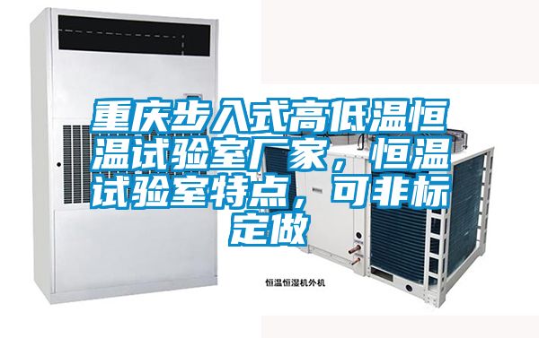 重慶步入式高低溫恒溫試驗室廠家，恒溫試驗室特點，可非標(biāo)定做