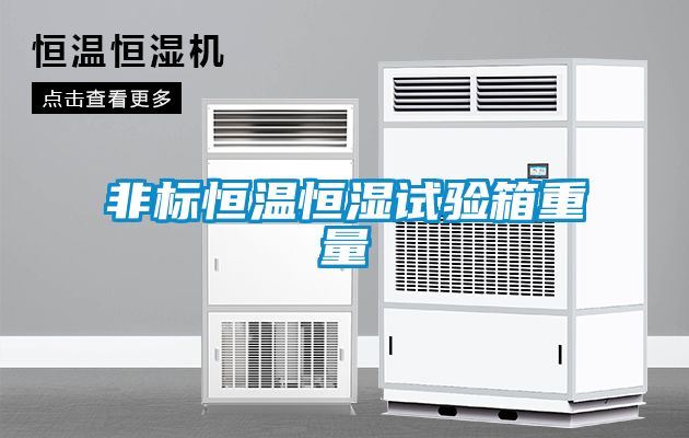 非標(biāo)恒溫恒濕試驗箱重量