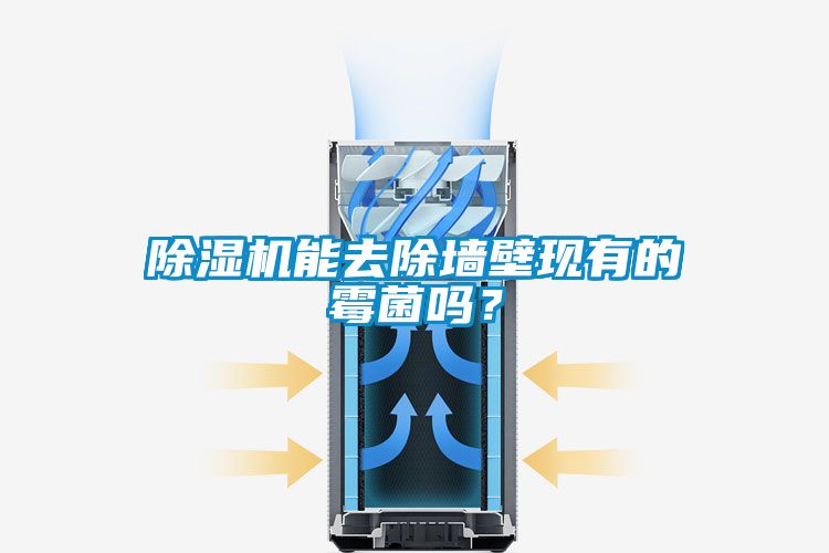 除濕機(jī)能去除墻壁現(xiàn)有的霉菌嗎？