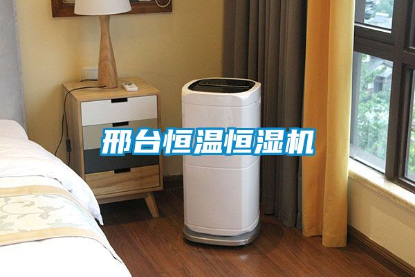 邢臺(tái)恒溫恒濕機(jī)