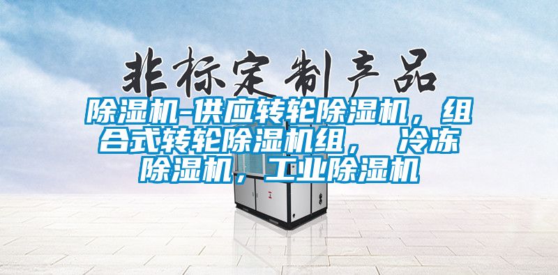 除濕機(jī)-供應(yīng)轉(zhuǎn)輪除濕機(jī)，組合式轉(zhuǎn)輪除濕機(jī)組， 冷凍除濕機(jī)，工業(yè)除濕機(jī)