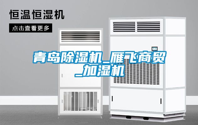 青島除濕機_雁飛商貿(mào)_加濕機