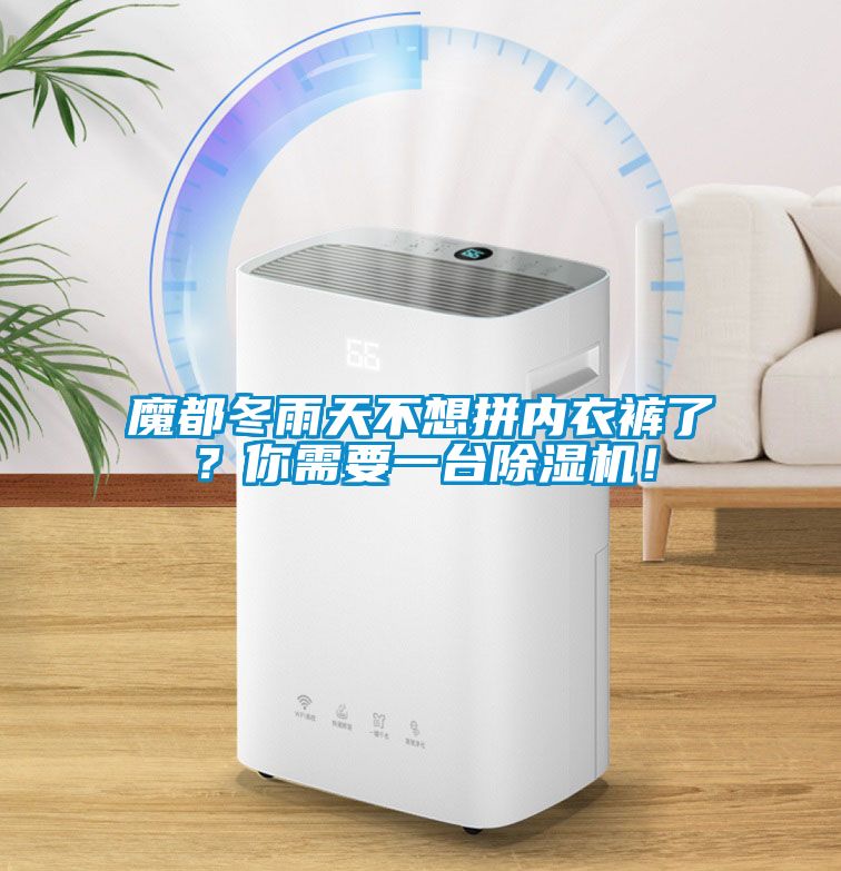 魔都冬雨天不想拼內(nèi)衣褲了？你需要一臺除濕機！