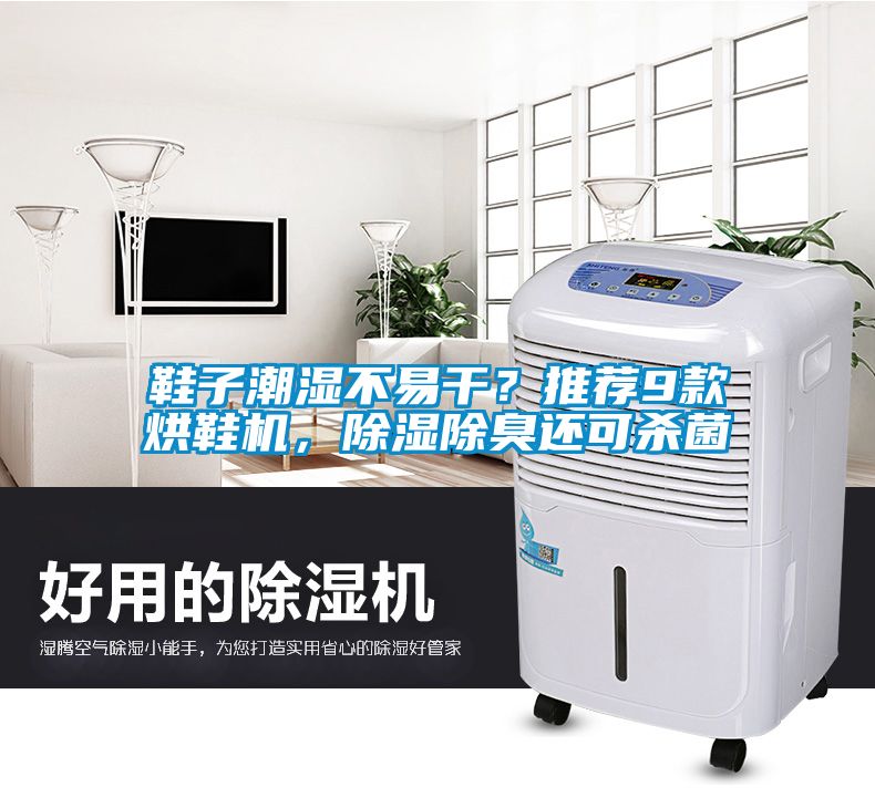 鞋子潮濕不易干？推薦9款烘鞋機(jī)，除濕除臭還可殺菌