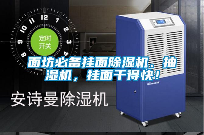 面坊必備掛面除濕機(jī)、抽濕機(jī)，掛面干得快！