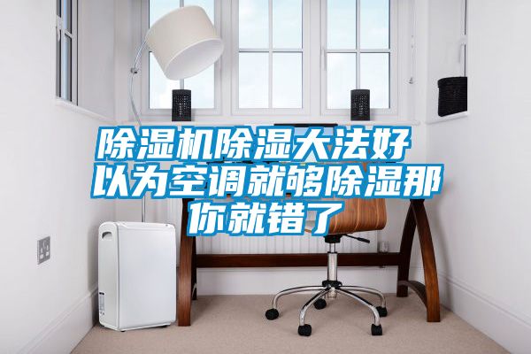 除濕機(jī)除濕大法好 以為空調(diào)就夠除濕那你就錯了