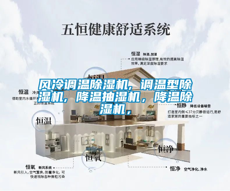 風(fēng)冷調(diào)溫除濕機(jī), 調(diào)溫型除濕機(jī), 降溫抽濕機(jī)，降溫除濕機(jī)，