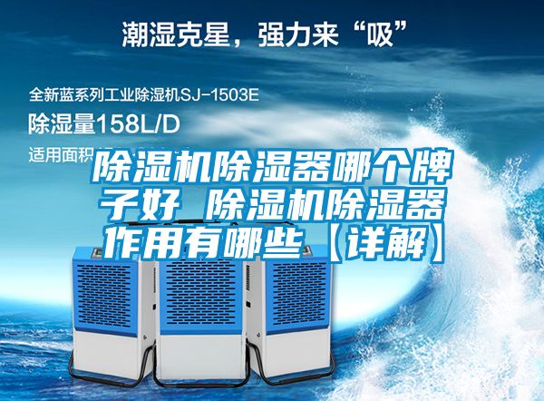 除濕機(jī)除濕器哪個牌子好 除濕機(jī)除濕器作用有哪些【詳解】