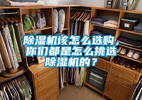 除濕機該怎么選購，你們都是怎么挑選除濕機的？