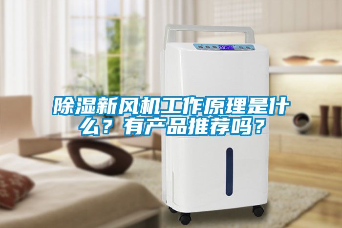 除濕新風(fēng)機(jī)工作原理是什么？有產(chǎn)品推薦嗎？