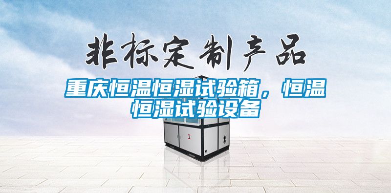 重慶恒溫恒濕試驗箱，恒溫恒濕試驗設(shè)備
