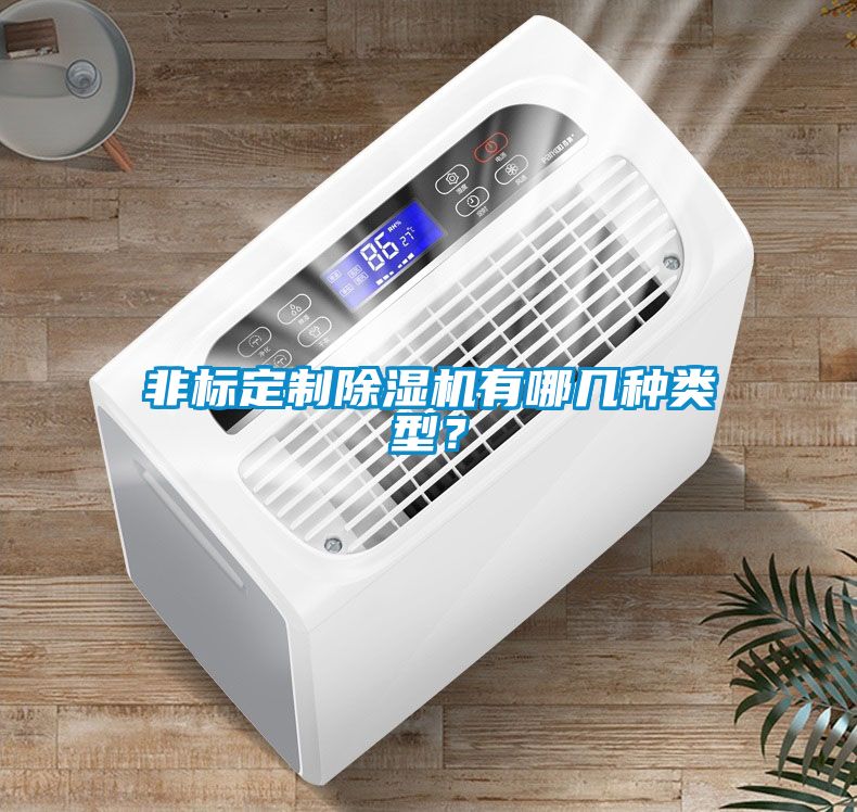 非標(biāo)定制除濕機(jī)有哪幾種類型？