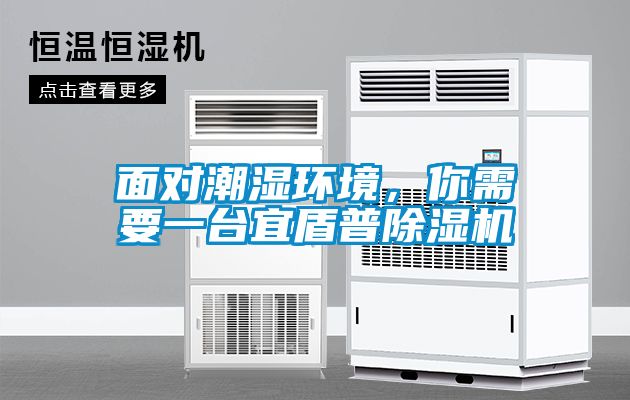面對潮濕環(huán)境，你需要一臺宜盾普除濕機(jī)