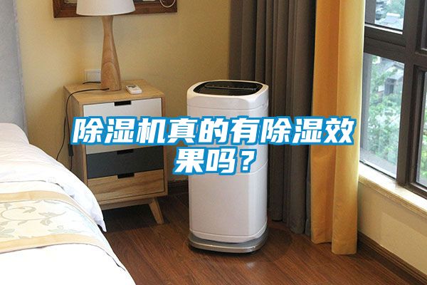 除濕機(jī)真的有除濕效果嗎？