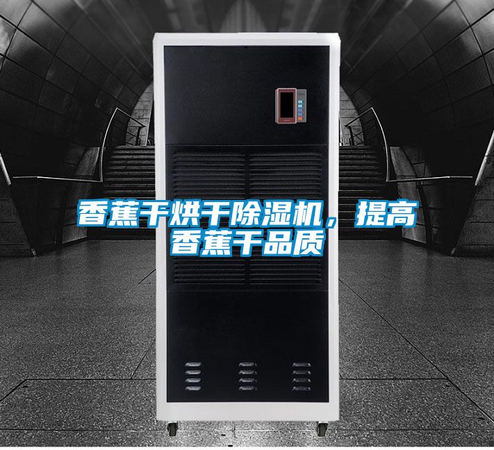 香蕉干烘干除濕機(jī)，提高香蕉干品質(zhì)
