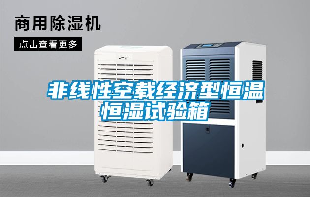 非線性空載經(jīng)濟(jì)型恒溫恒濕試驗箱