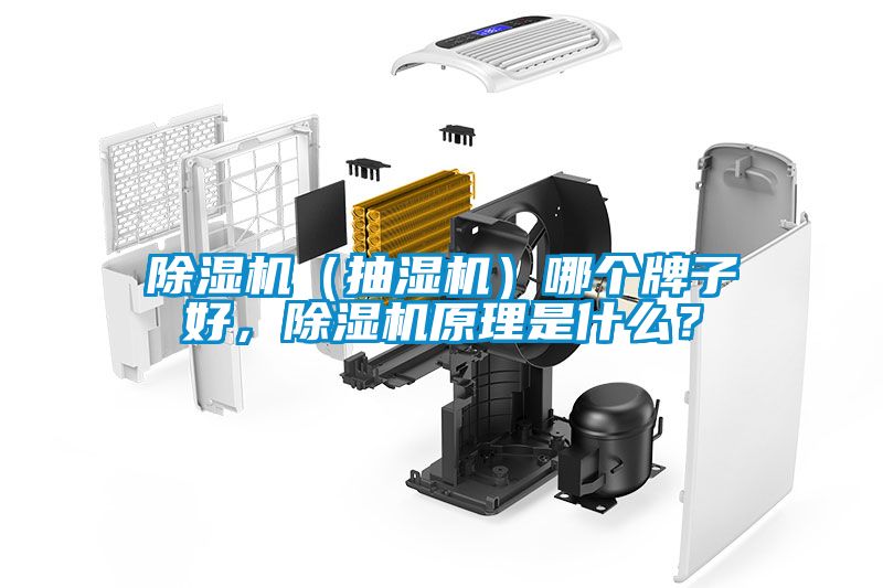 除濕機（抽濕機）哪個牌子好，除濕機原理是什么？