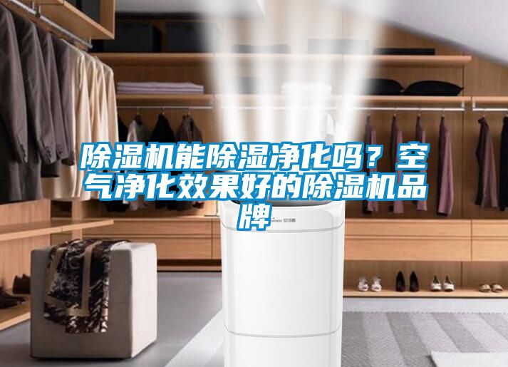 除濕機(jī)能除濕凈化嗎？空氣凈化效果好的除濕機(jī)品牌
