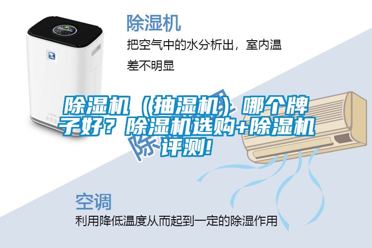 除濕機（抽濕機）哪個牌子好？除濕機選購+除濕機評測!