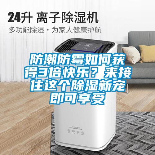 防潮防霉如何獲得3倍快樂？來接住這個(gè)除濕新寵即可享受