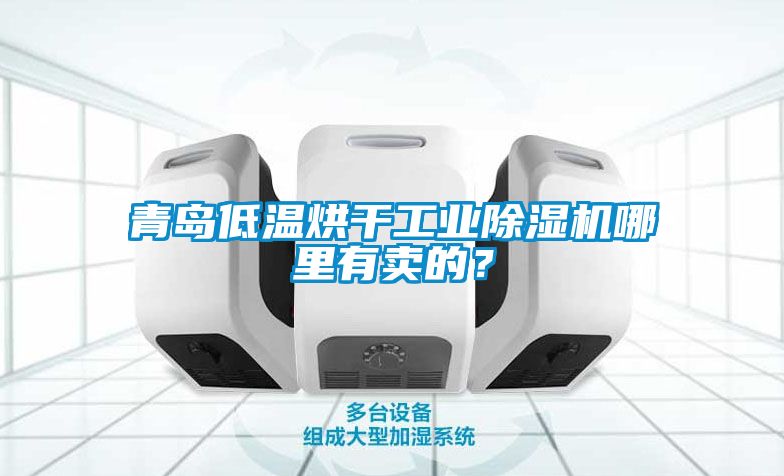 青島低溫烘干工業(yè)除濕機哪里有賣的？