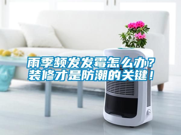 雨季頻發(fā)發(fā)霉怎么辦？裝修才是防潮的關(guān)鍵！