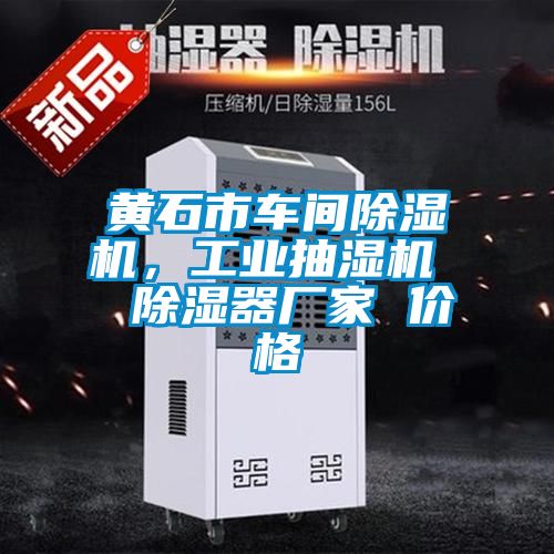 黃石市車間除濕機(jī)，工業(yè)抽濕機(jī)  除濕器廠家 價(jià)格