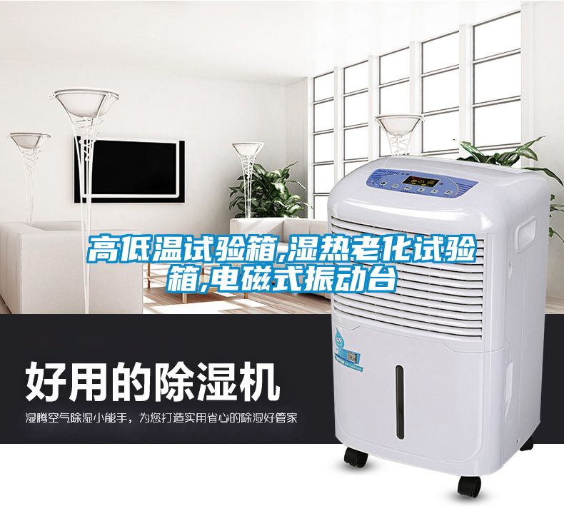 高低溫試驗箱,濕熱老化試驗箱,電磁式振動臺