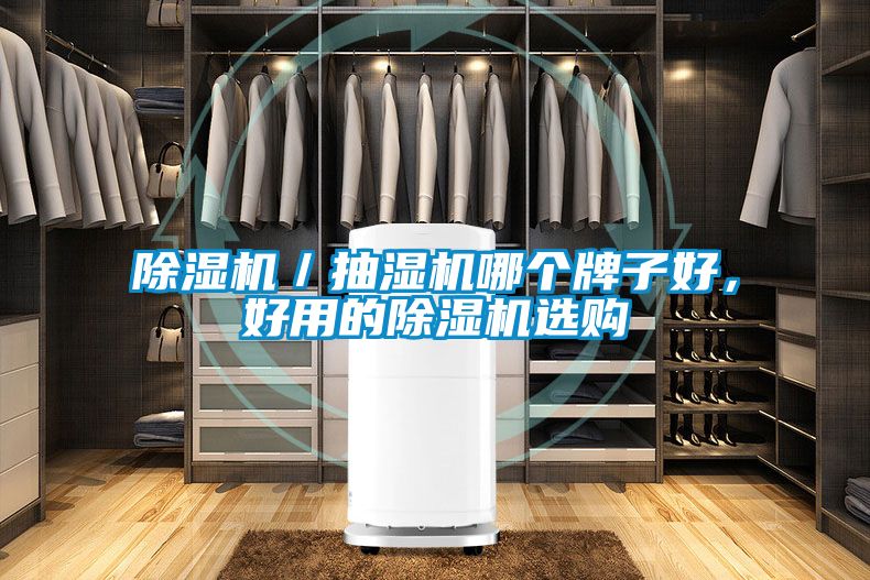 除濕機(jī)／抽濕機(jī)哪個(gè)牌子好，好用的除濕機(jī)選購