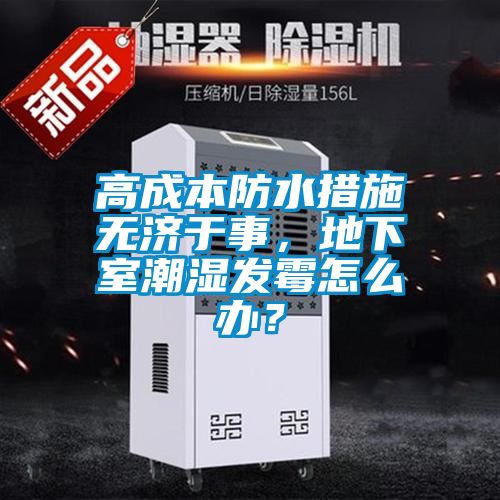 高成本防水措施無(wú)濟(jì)于事，地下室潮濕發(fā)霉怎么辦？