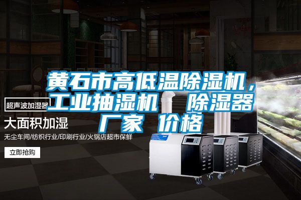 黃石市高低溫除濕機(jī)，工業(yè)抽濕機(jī)  除濕器廠家 價(jià)格