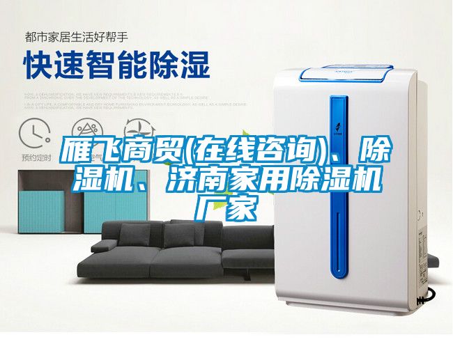 雁飛商貿(mào)(在線咨詢)、除濕機、濟南家用除濕機廠家