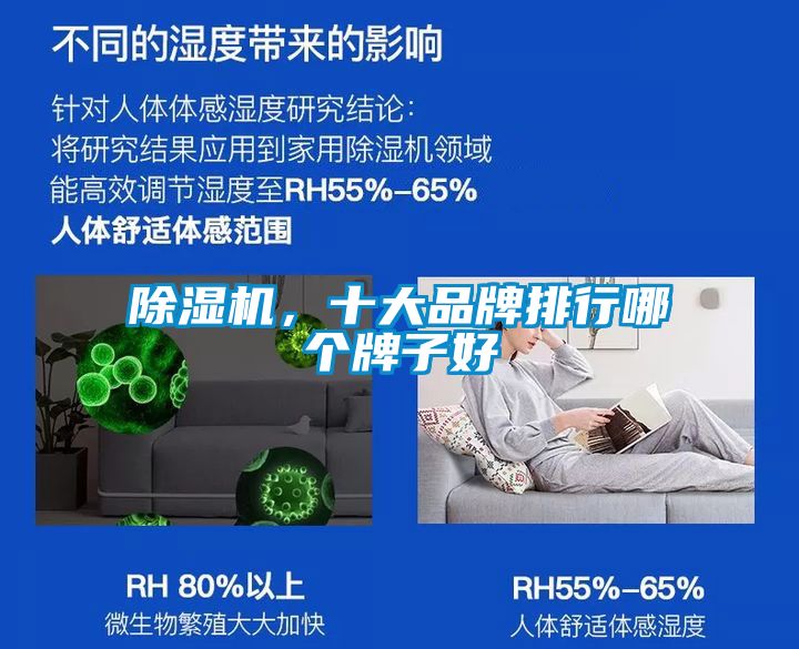 除濕機，十大品牌排行哪個牌子好
