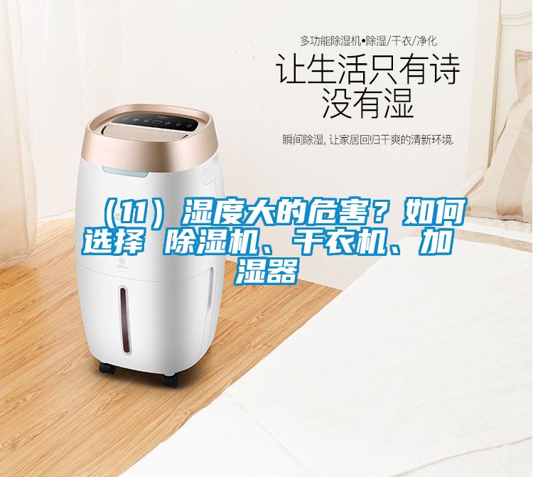 （11）濕度大的危害？如何選擇 除濕機、干衣機、加濕器