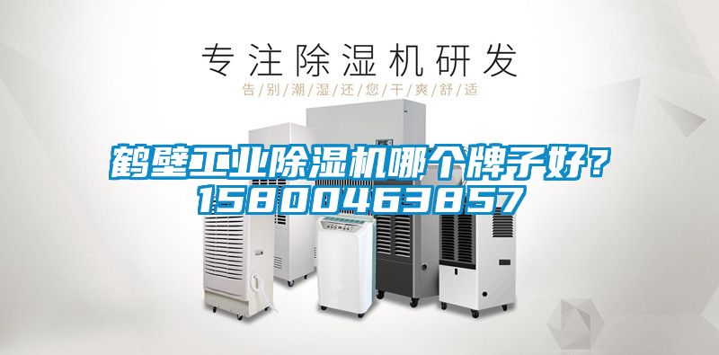 鶴壁工業(yè)除濕機(jī)哪個牌子好？15800463857